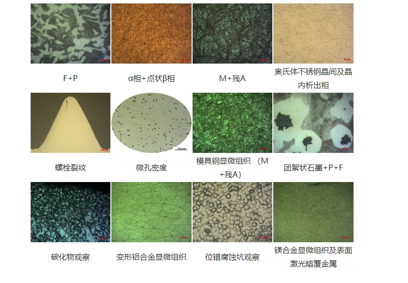 1742970064227472.png 6.png