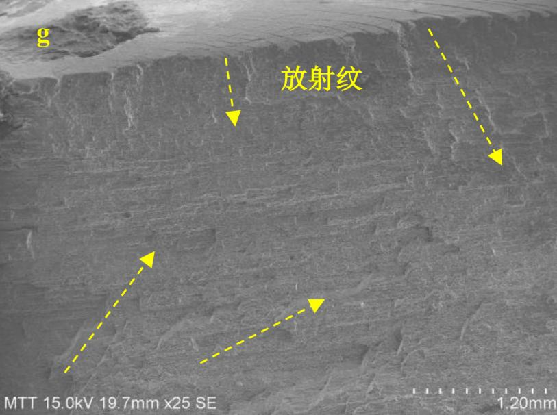 1742974614481982.png 5.png